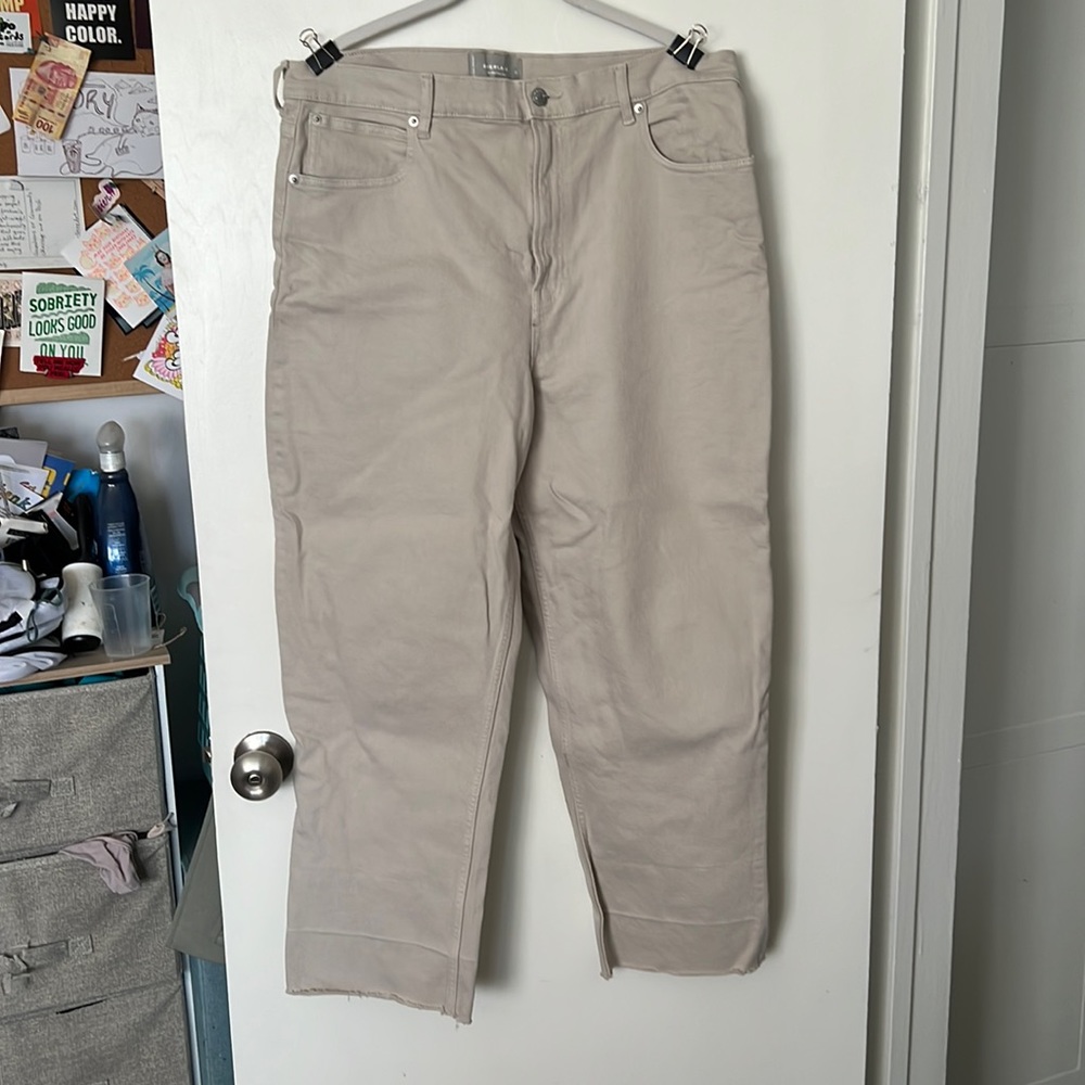 Everlane Way High Jean in Flax